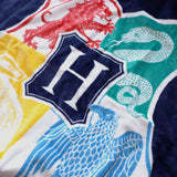 Drap de plage Harry Potter WB Poudlard